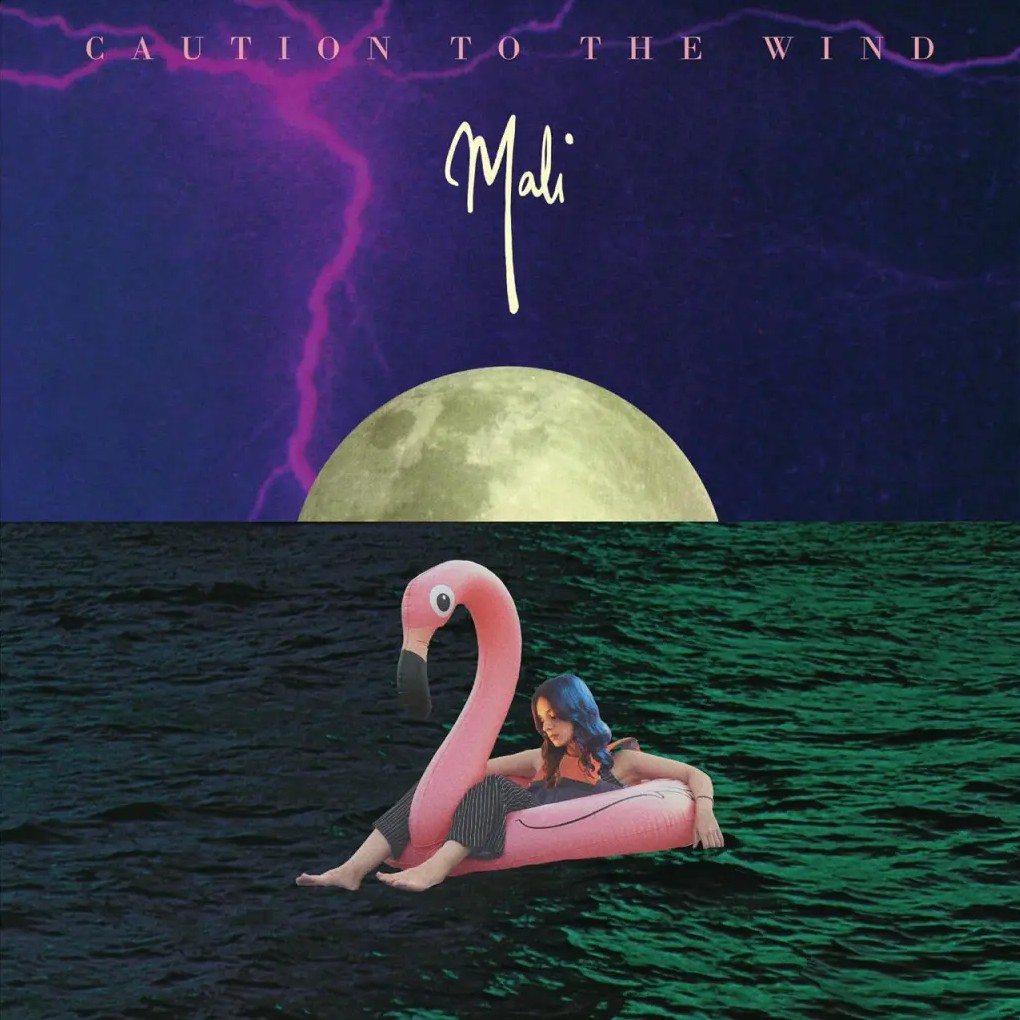Caution To The Wind album artwork